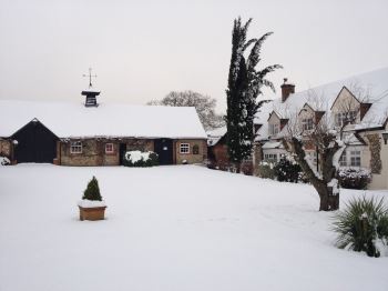 Snowy Luxters